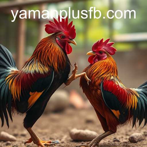 ​YAMANPLUS.COM